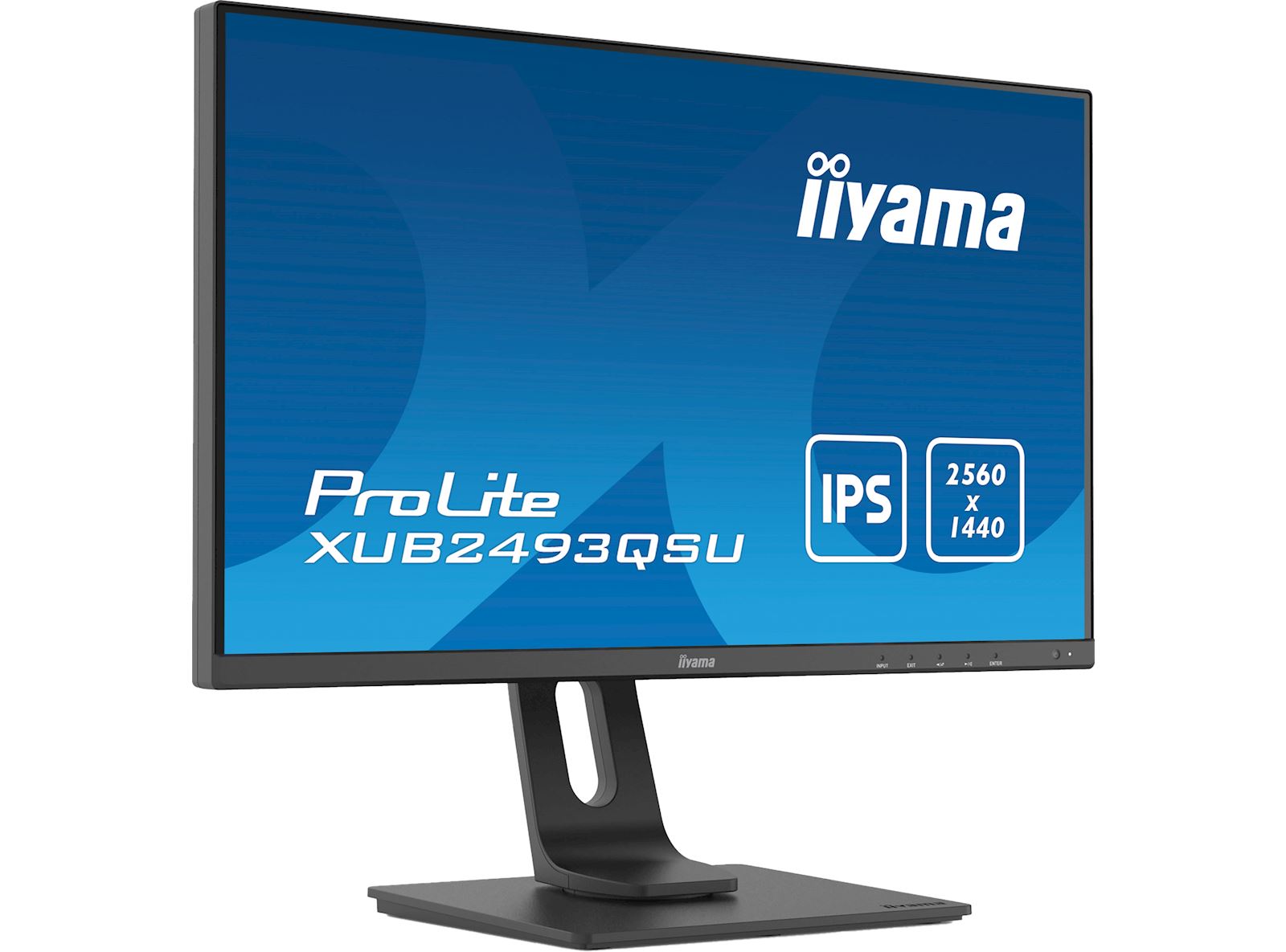 iiyama prolite 75