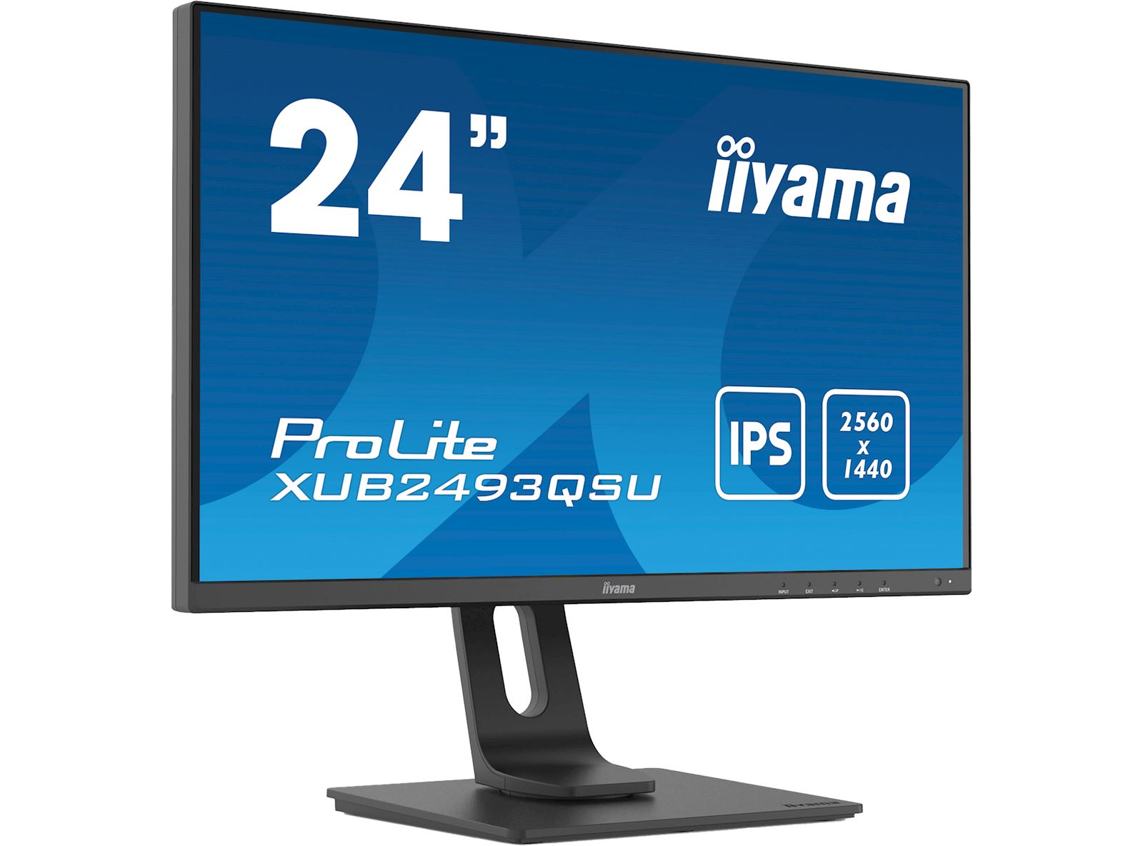 iiyama widescreen monitor