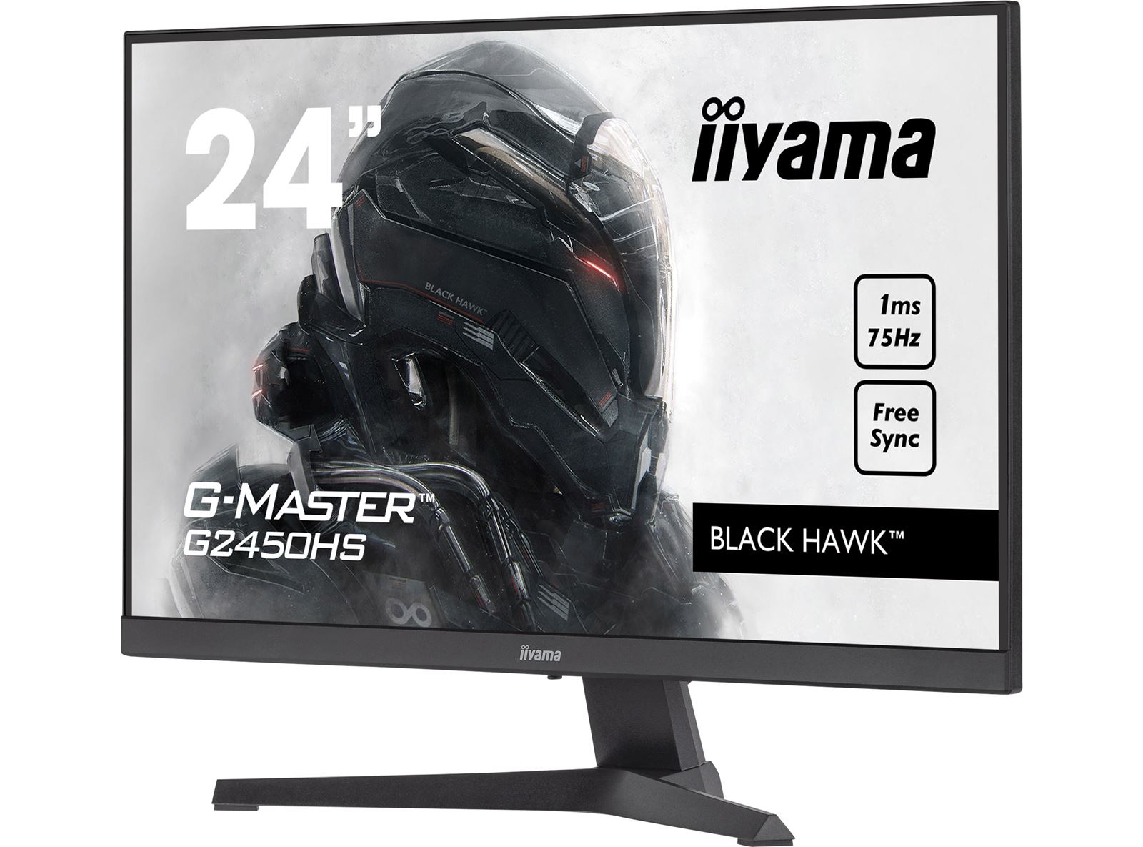 iiyama black hawk 24